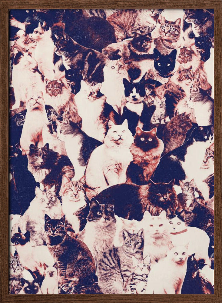 Cats Forever Poster