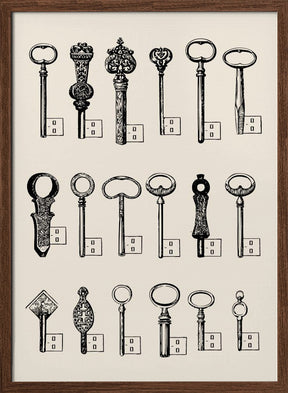 Usb Keys Poster