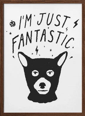 Im Just Fantastic Poster