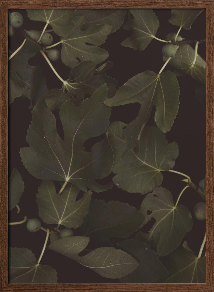 Botanical   Night Poster