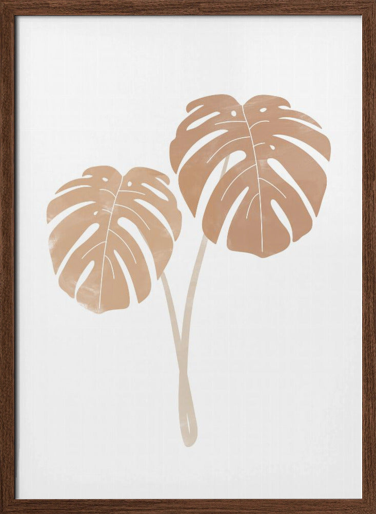Monstera Plants Poster