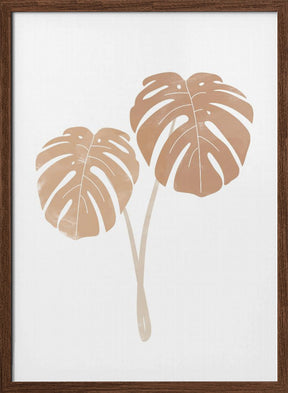 Monstera Plants Poster