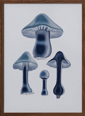 Agaricus Bulbosus - Blue Poster