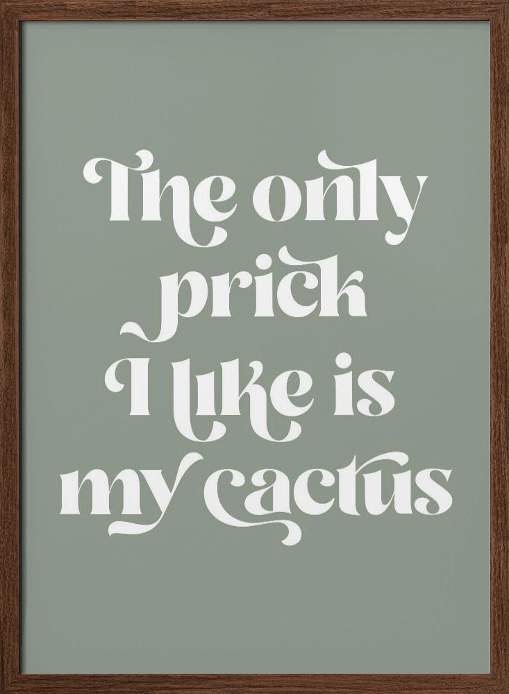 Cactus Prick Poster