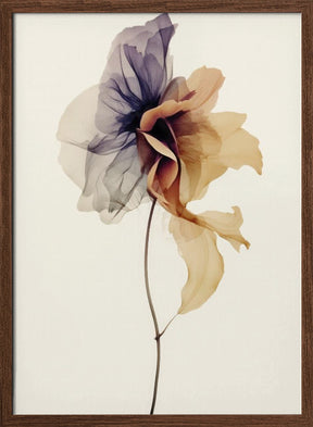 Chiffon Flower Poster