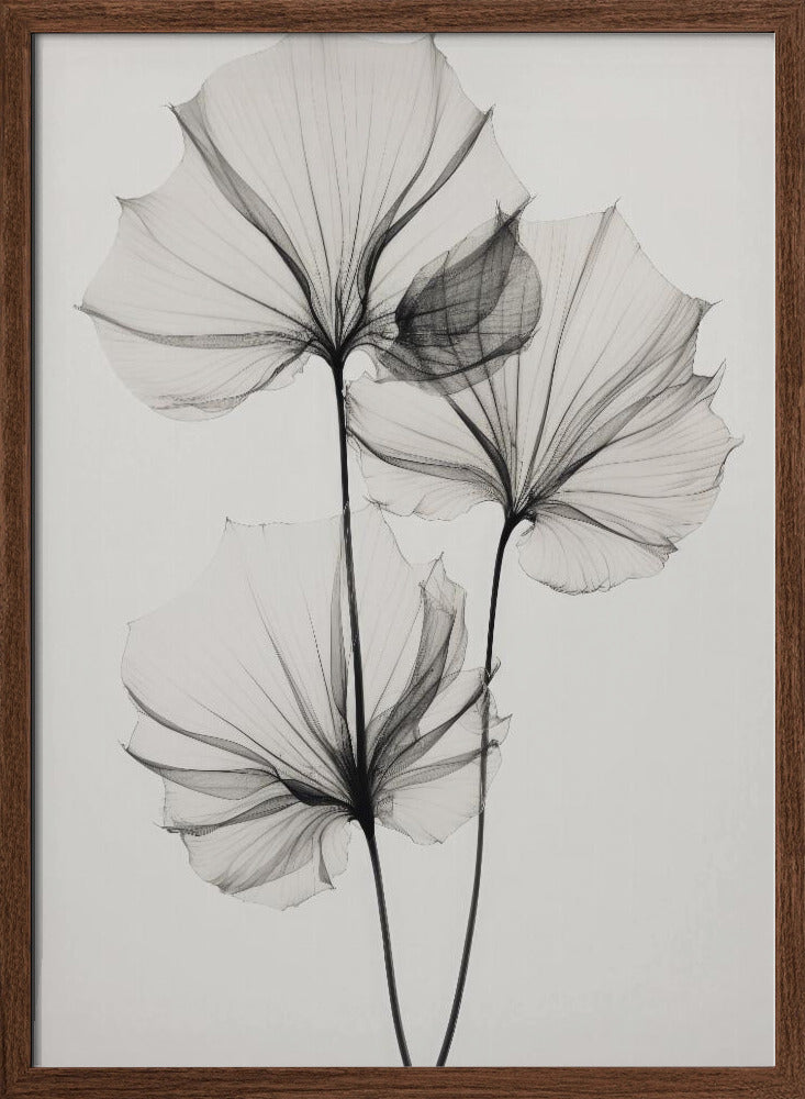 Transparent Botanic No 3 Poster