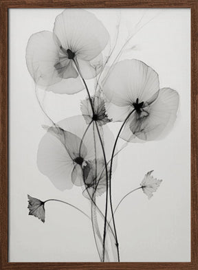 Transparent Botanic No1 Poster