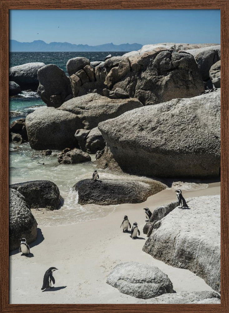 Boulders Beach Poster