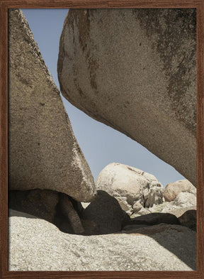 Boulders Beach Cape Town Poster