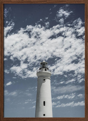 Cape Point Poster