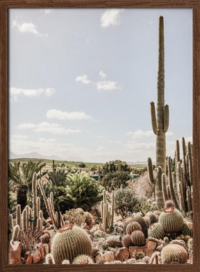 Catus Farm 02 Poster