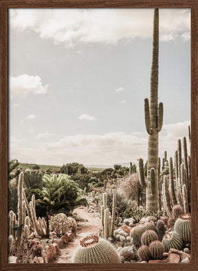 Cactus Farm Poster