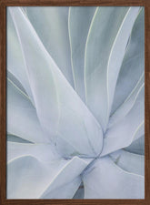 Crystal Cactus No2 Poster