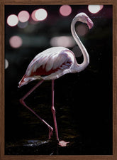 Dancing Flamingo Poster