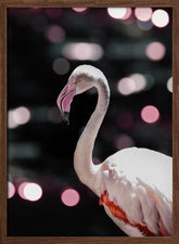 Disco Flamingo Poster