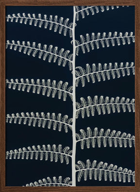 Fern Poster