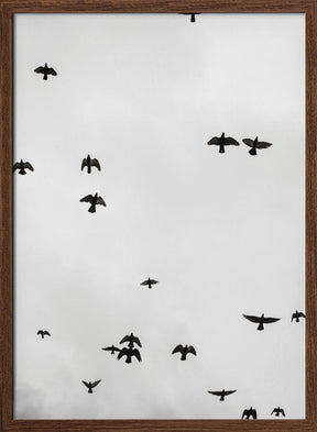 Flight &amp; Freedom No4 Poster