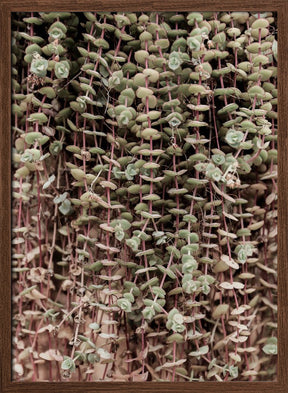 Hanging Garden Poster