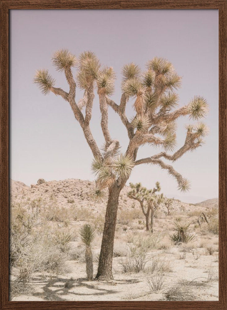 Joshua Tree Poster