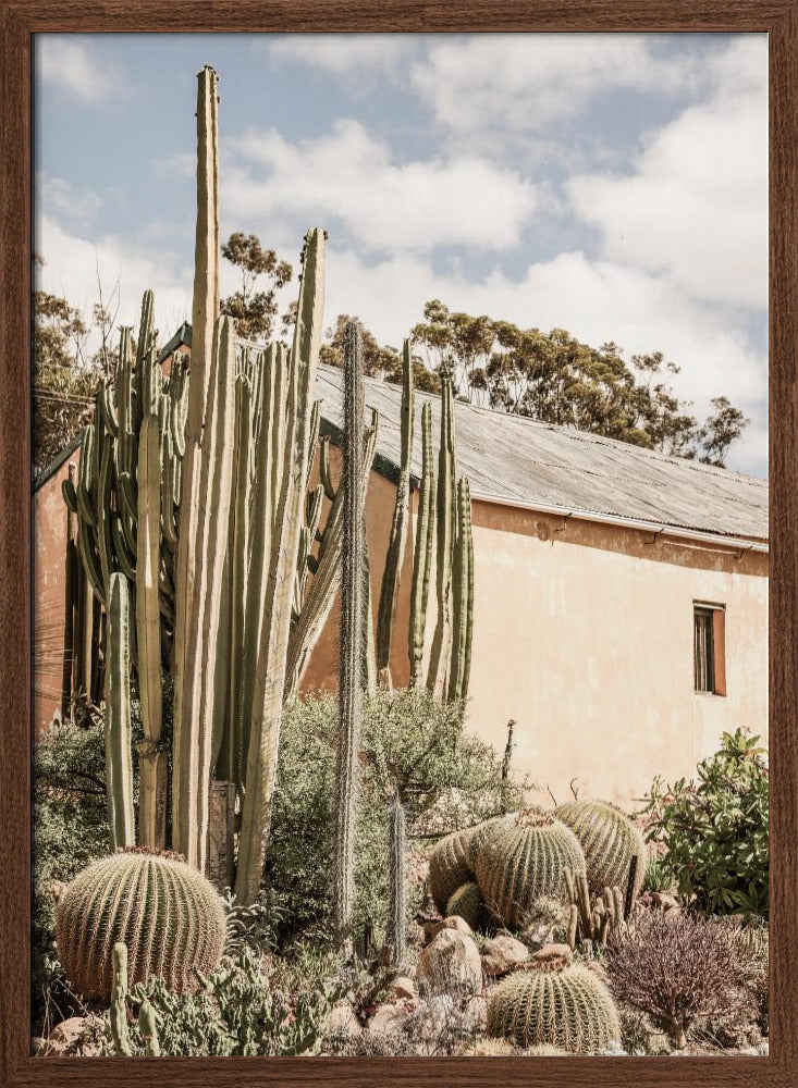 Karoo Garden 02 Poster