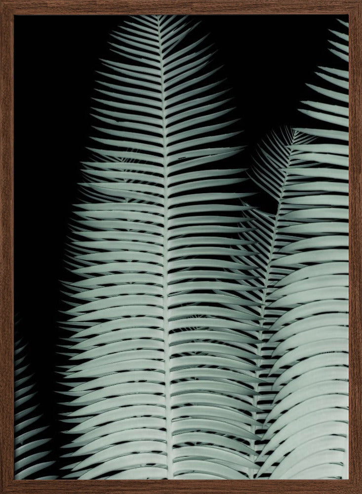 Palm Leaf Poster