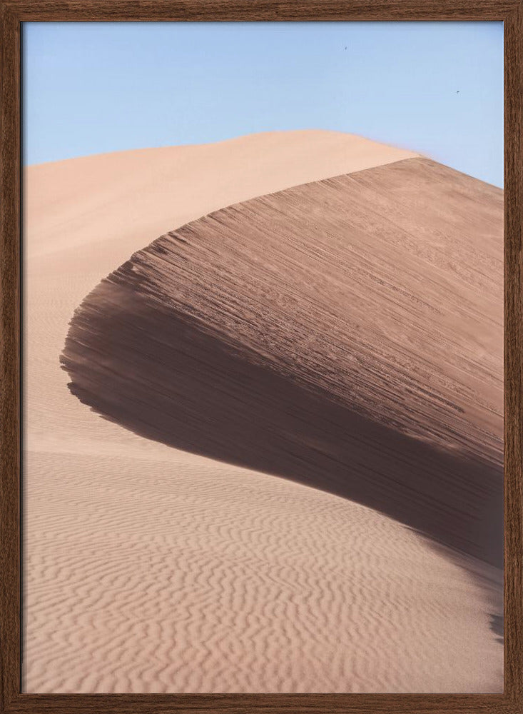 Namib Three Poster