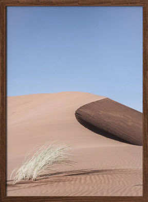 Namib Two Poster