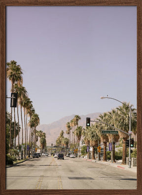 Palm Spring Poster