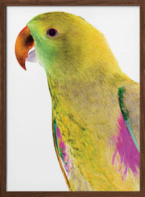 Polly Poster