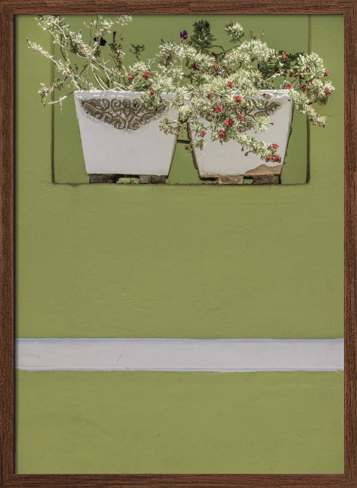 Wall Garden Poster