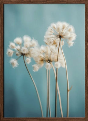 Fluffy Flowers Poster