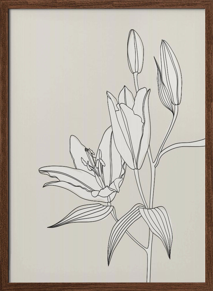 Line art lillies in beige Poster