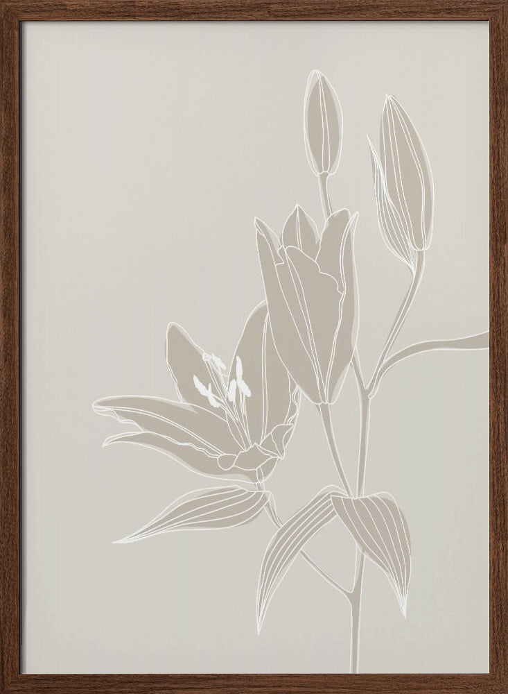 Line art lillies in white Poster