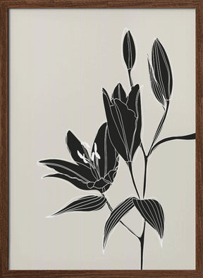 Line art lillies in black Poster