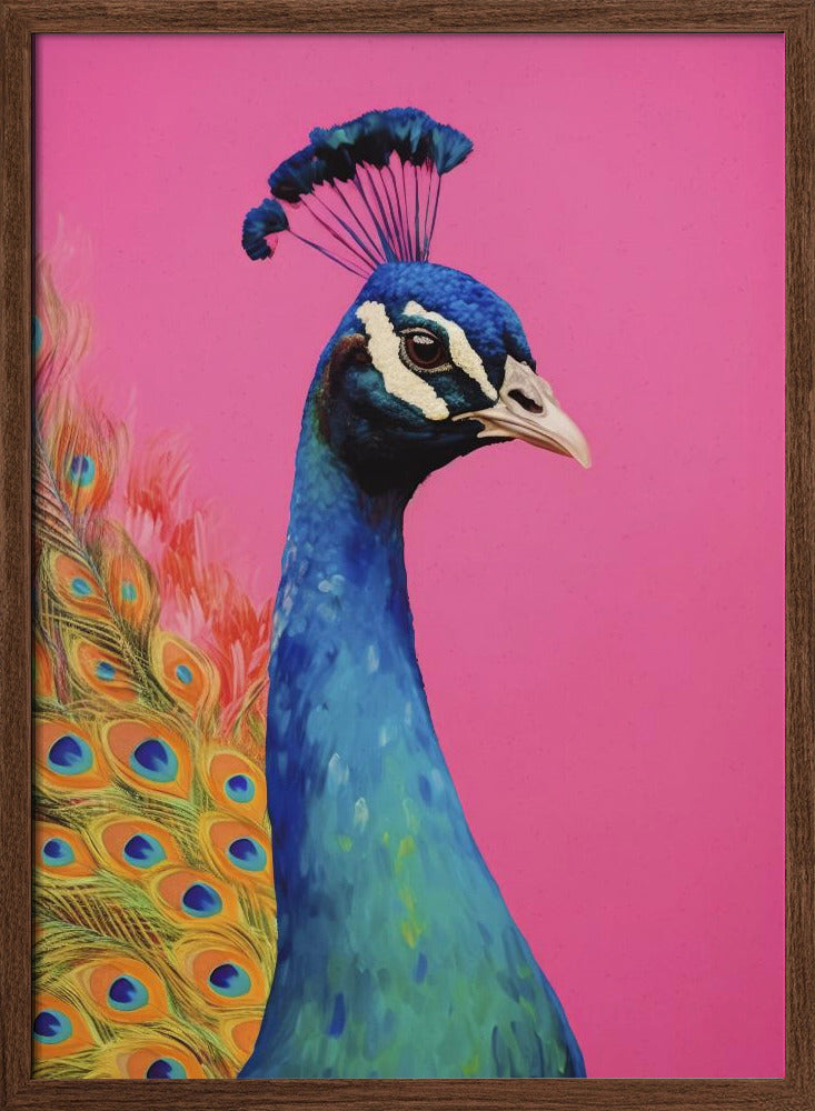 Beautiful Peacock Poster