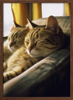 Resting Van Cats Poster