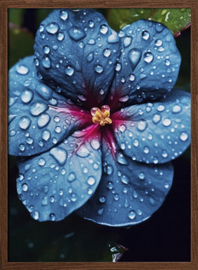 Blue Lagoon Flower Poster