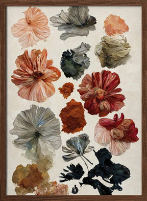 Dry Flower Collection Poster