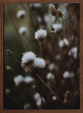 Low Light Nature Poster