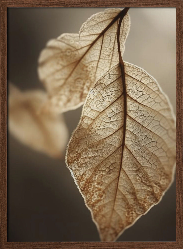 Leaf Macro Poster