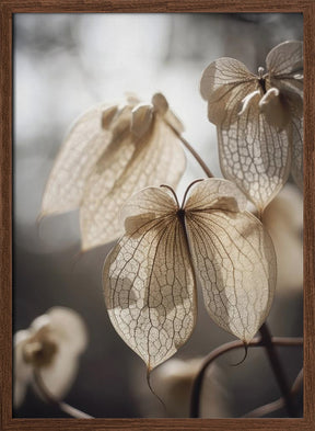 Butterfly Flower Poster