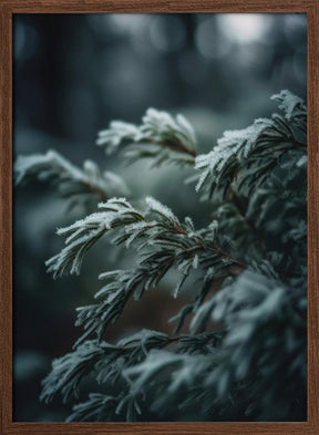 Winter Impressions No 1 Poster