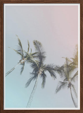 Pastel Palms Poster