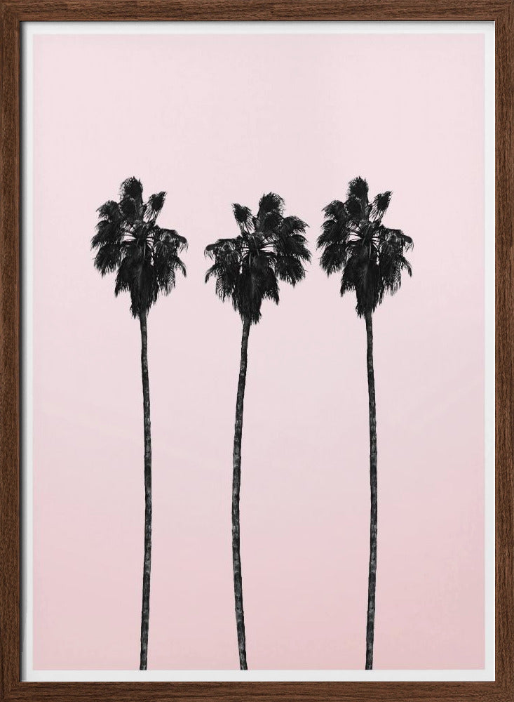 Pinky Palms Poster