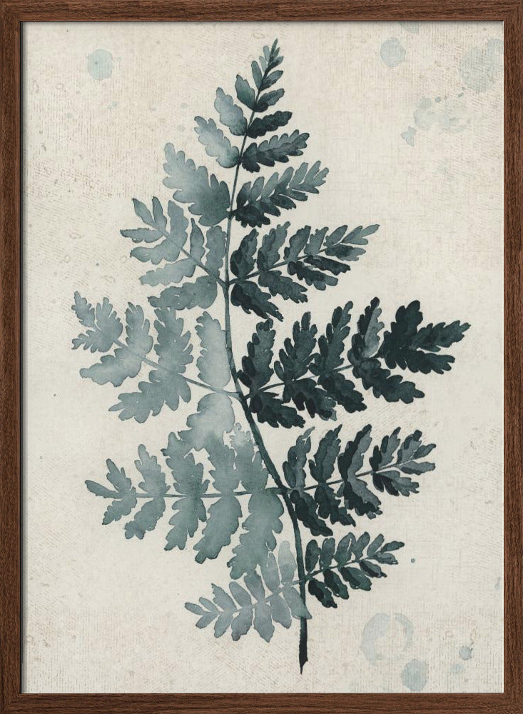 Teal watercolor fern 2 Poster