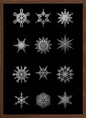 Twelve geometric snowflakes in black Poster