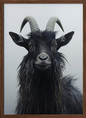 Mountain Goat Poster