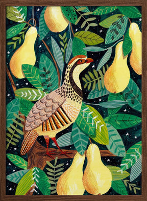 Partridge in a pear tree Poster