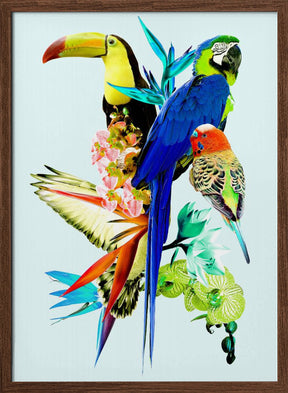 Birds of Paradise II Poster