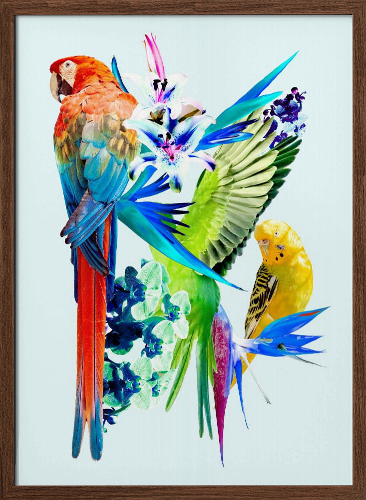 Birds of Paradise I Poster